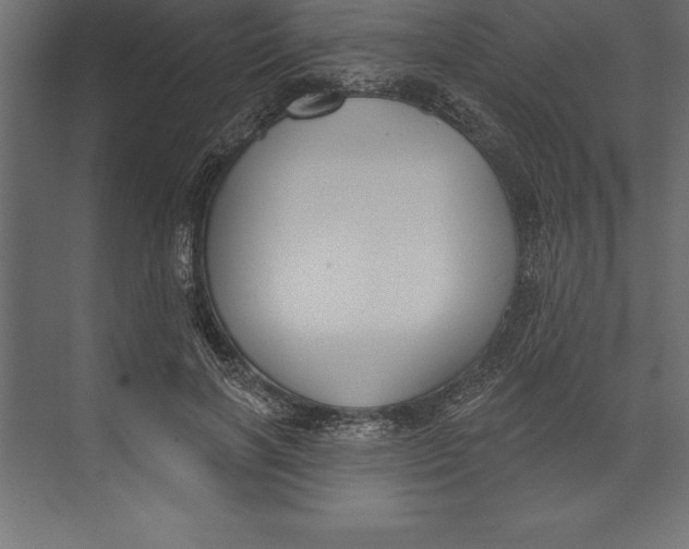 X0000073400646200608181030