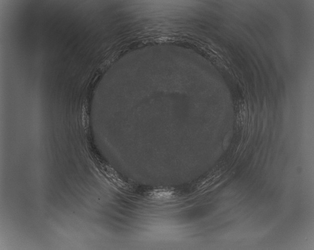 X0000073400651200608181030