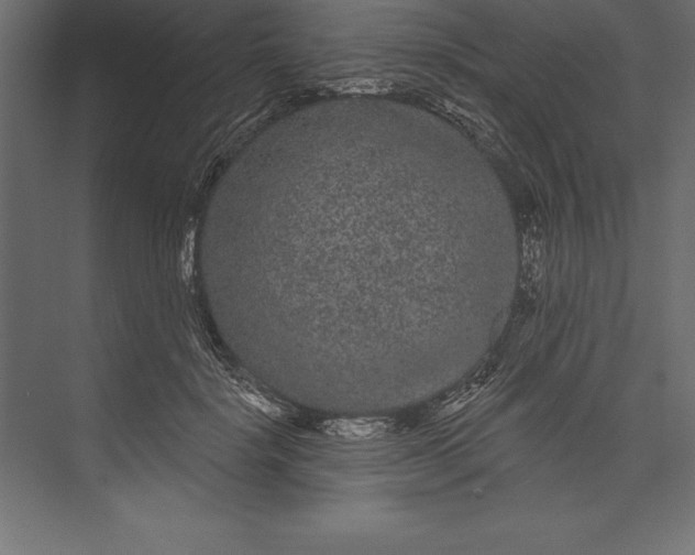 X0000073400652200608181030