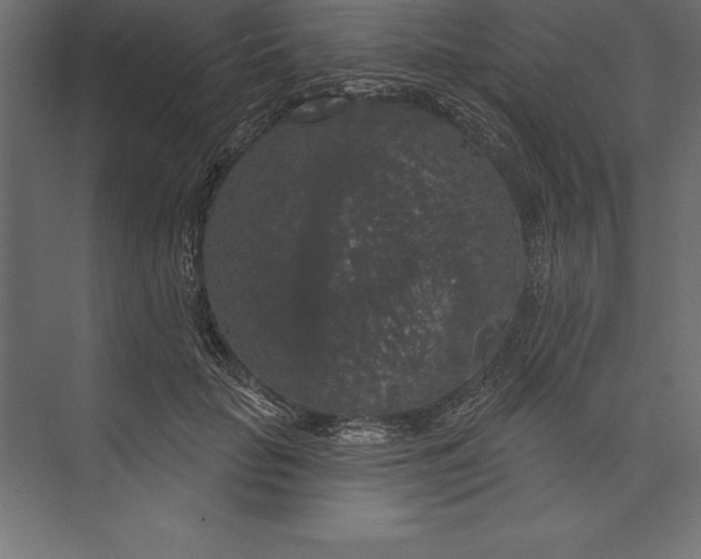 X0000073400653200608181030