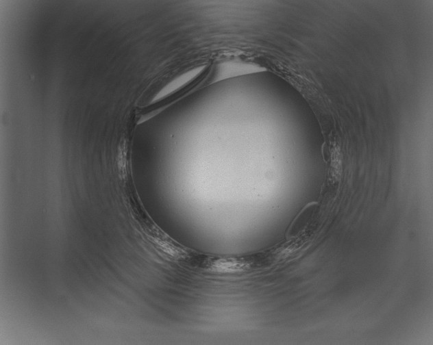 X0000073400657200608181031