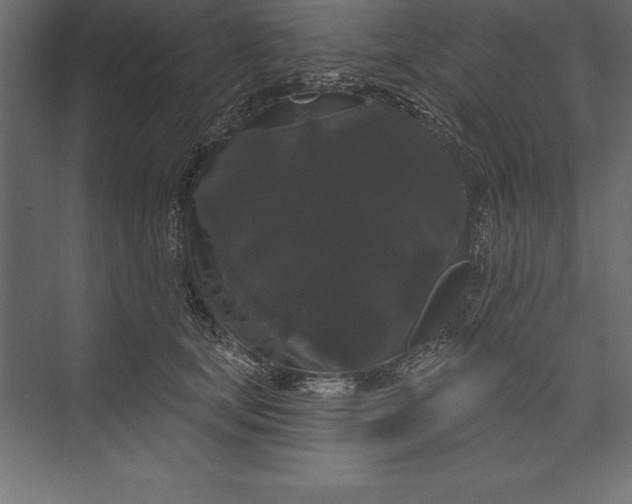 X0000073400659200608181031