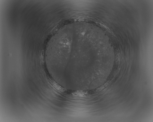 X0000073400661200608181031