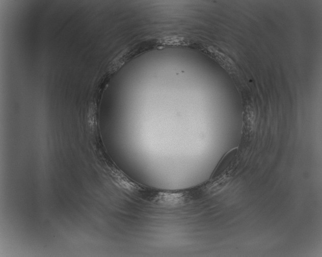 X0000073400665200608181031