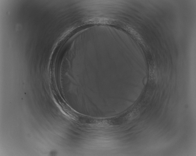 X0000073400674200608181030