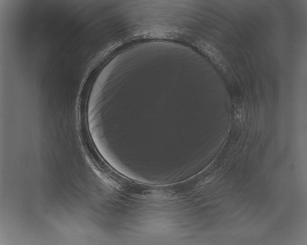 X0000073400678200608181030