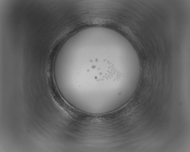 X0000073400683200608181030
