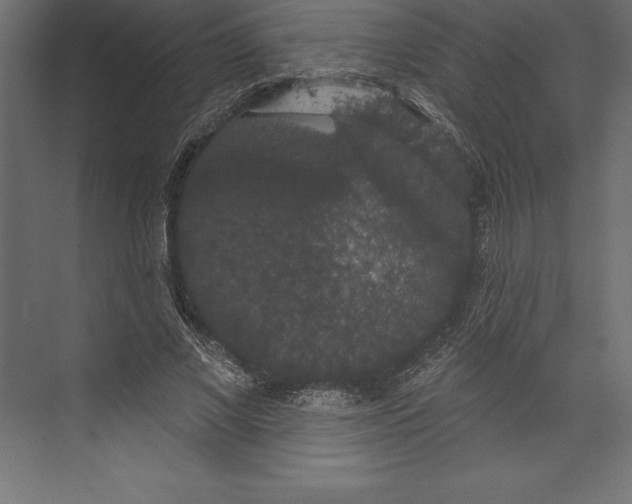 X0000073400685200608181030