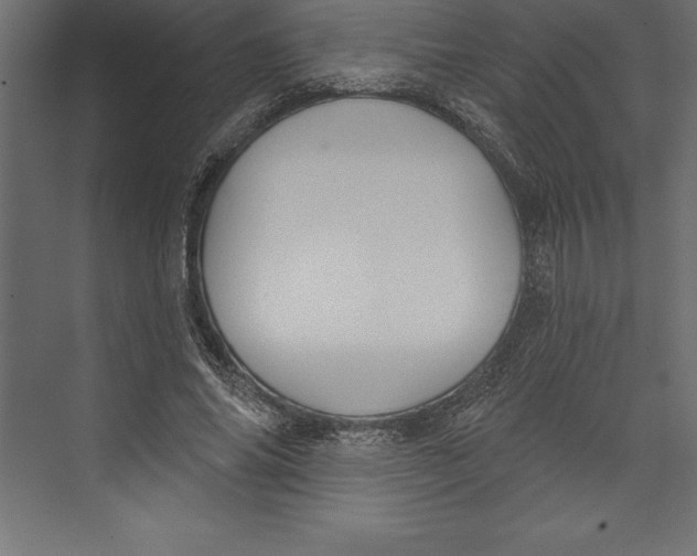 X0000073400686200608181030