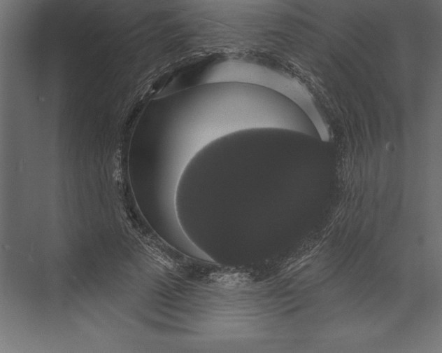 X0000073400689200608181030