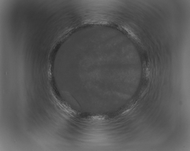 X0000073400692200608181030