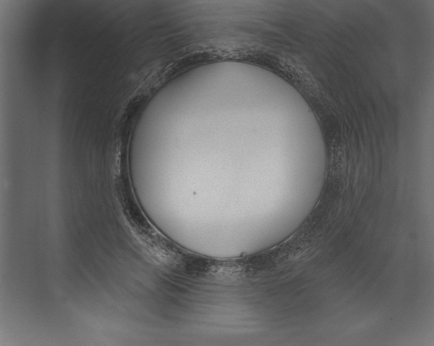 X0000073400694200608181030