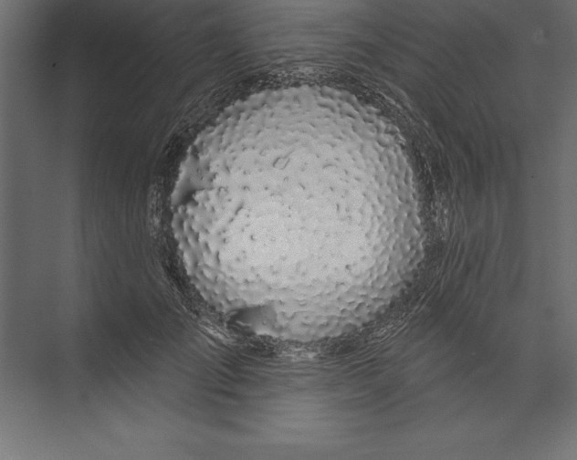 X0000073400701200608181029