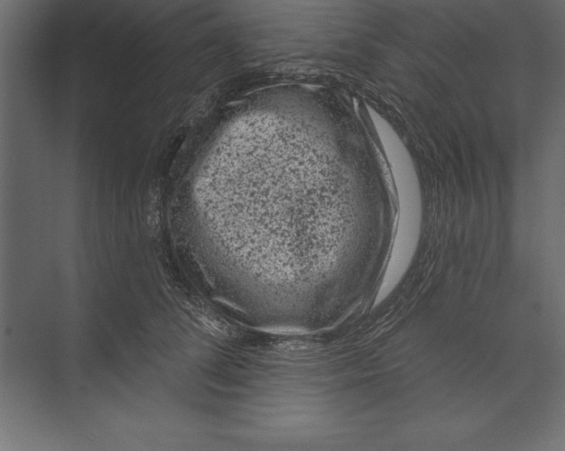 X0000073400708200608181029