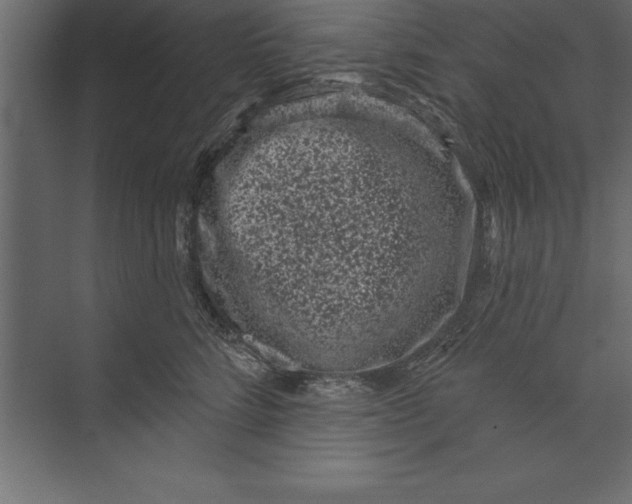 X0000073400712200608181029