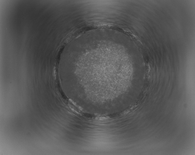 X0000073400716200608181029