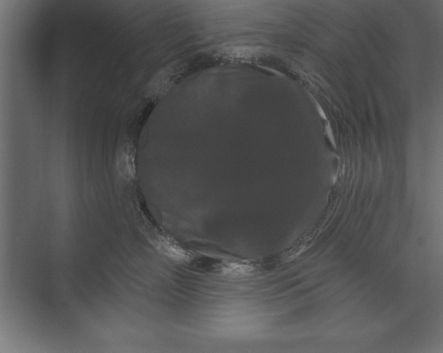X0000073400718200608181029