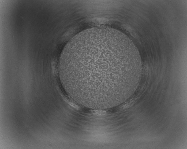 X0000073400719200608181029