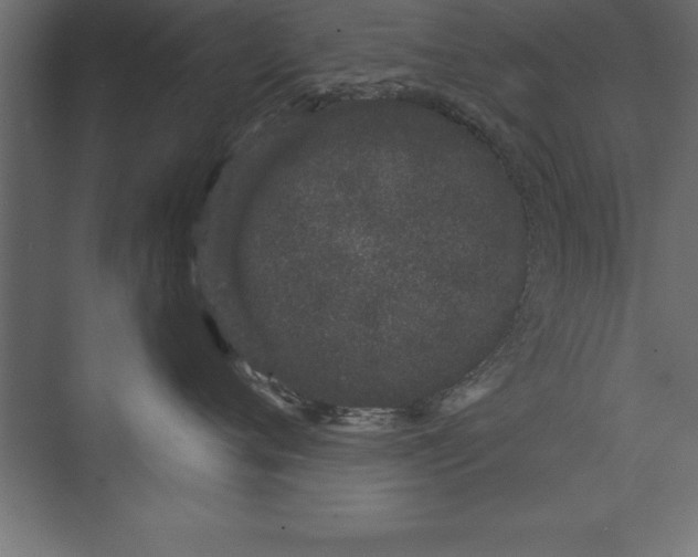 X0000073400720200608181029