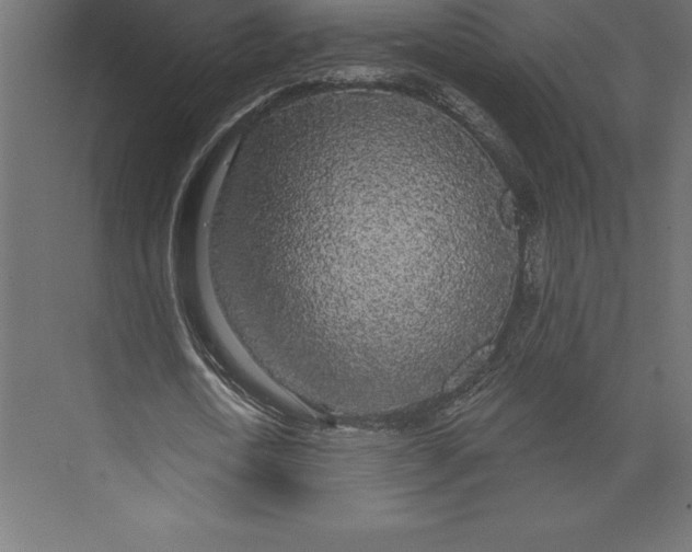 X0000073400722200608181028