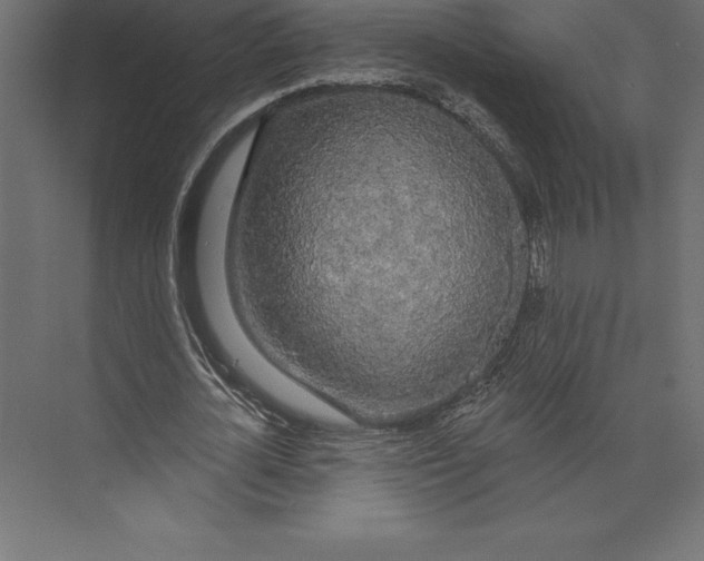 X0000073400724200608181028
