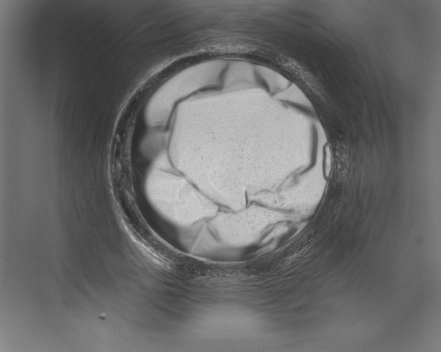 X0000073400726200608181028