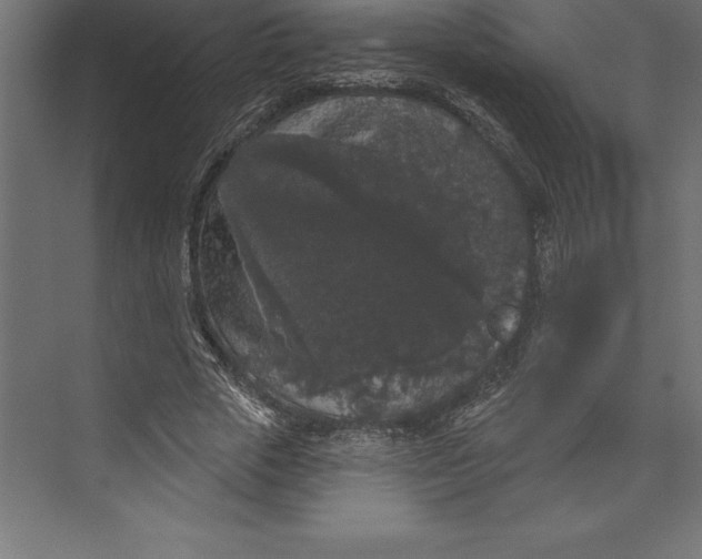 X0000073400729200608181028