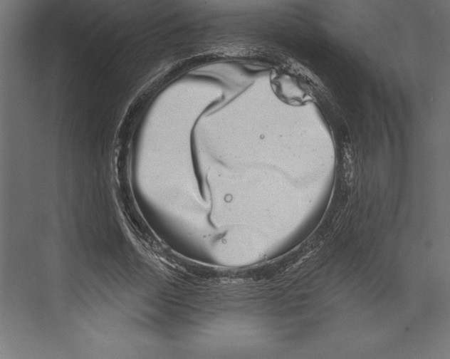 X0000073400730200608181029
