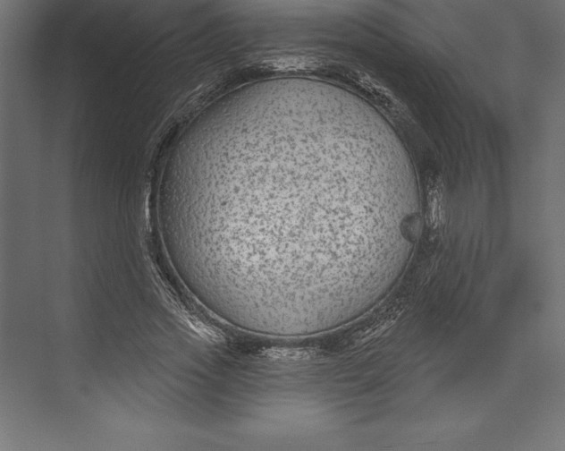 X0000073400733200608181029