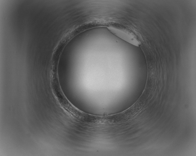 X0000073400736200608181029