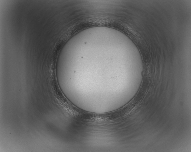 X0000073400737200608181029