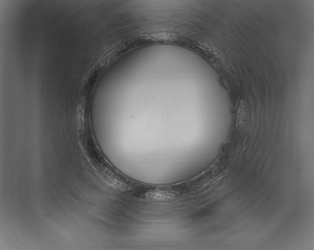 X0000073400739200608181029