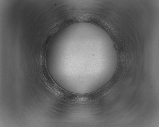 X0000073400741200608181029