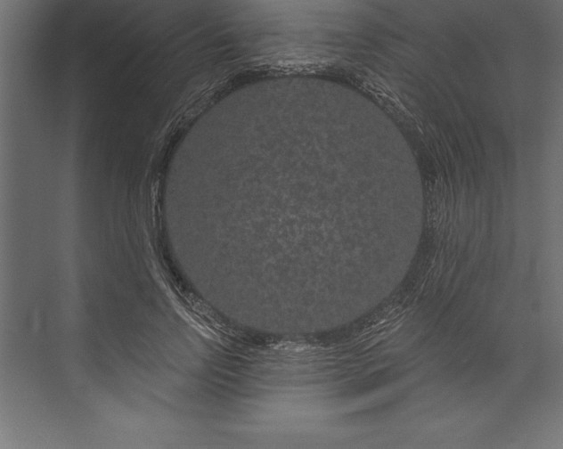 X0000073400742200608181029