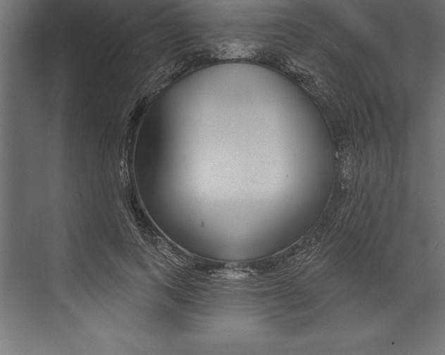 X0000073400743200608181029