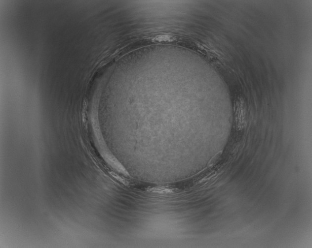 X0000073400747200608181029
