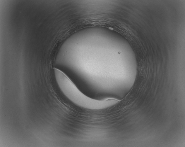 X0000073400748200608181029