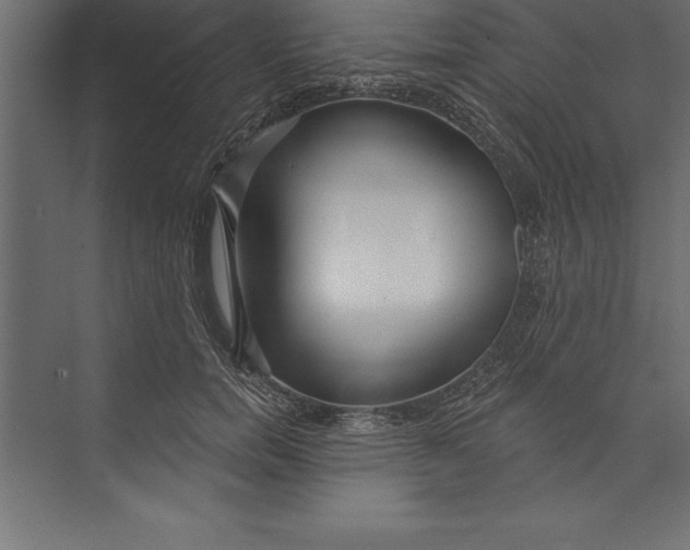 X0000073400750200608181029