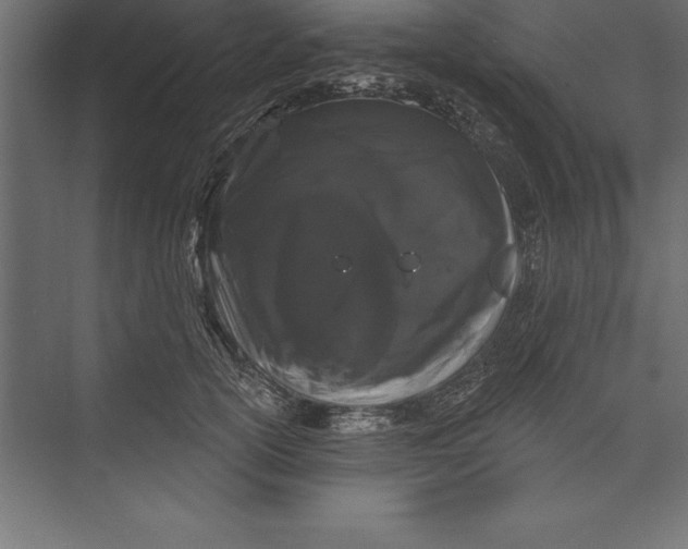 X0000073400754200608181029
