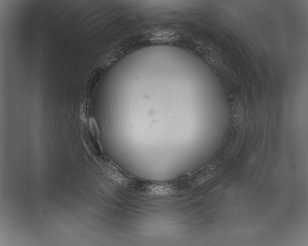 X0000073400755200608181029