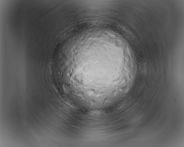 X0000073400757200608181029