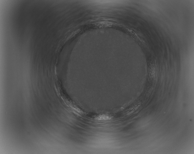 X0000073400759200608181029