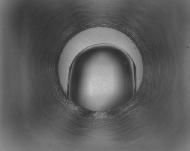 X0000073400762200608181029