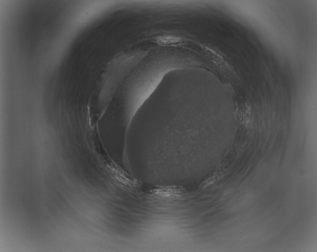 X0000073400763200608181029