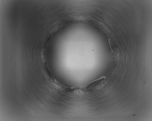 X0000073400764200608181029