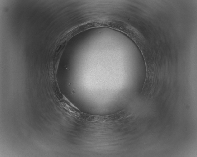 X0000073400773200608181028