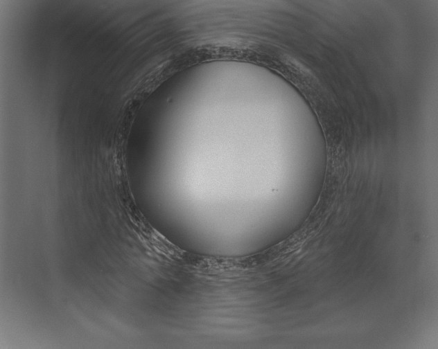 X0000073400774200608181028