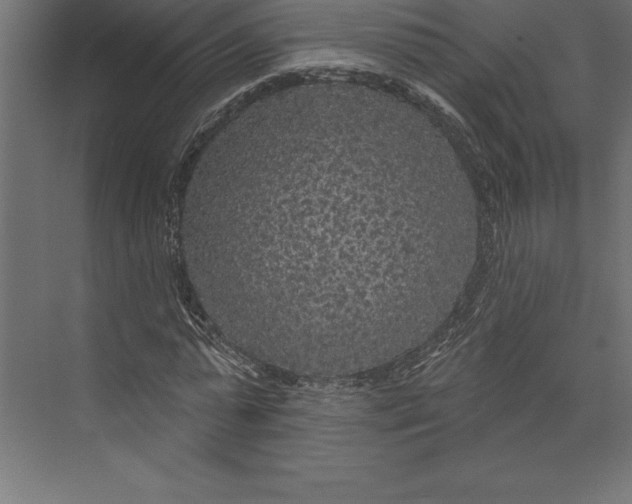 X0000073400775200608181028