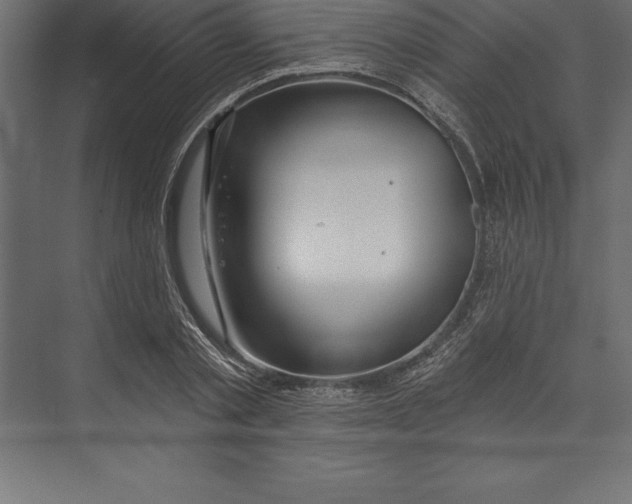X0000073400789200608181028