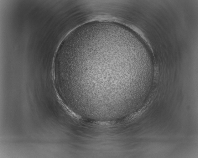 X0000073400791200608181028